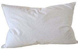 Natural Comfort Standard Classic White Goose Down Feather Pillow, 40-Ounce, Set of 2