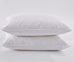 Puredown White Goose Feather and Down Pillow, Standard, Set of 2