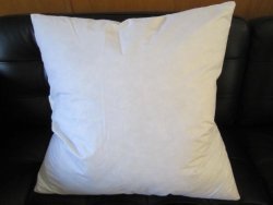 Set of Two – 20″ X 20″ 95% Feather / 5% Down Pillow Inserts – Made in USA
