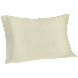 Spasilk 100% Pure Silk Facial Beauty Pillowcase, Standard/Queen Size Ivory