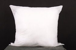 Square Sham Pillow Insert 20×20″Made in USA(Perfect for 20″x20″ Pillow Cover)