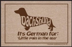 Dachshund, It’s German for “Little Pain in the A”