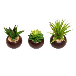 Potted Artificial Mini Succulent Plants, Set of 3 – MyGift