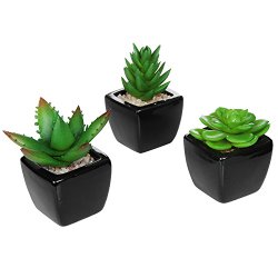 Set of 3 Modern Square Black Ceramic Artificial Succulent Planter / Mini Faux Potted Plants – MyGift®