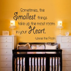 Sometimes the Smallest Things Take up the Most Room in Our Heart Vinyl Wall Decal