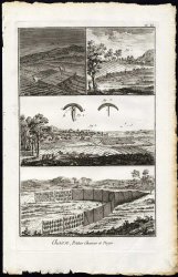 12 Antique Prints-HUNTING-TRAPS-BIRD TRAPPING-BIRD CATCHING-Diderot-1751