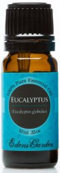 Eucalyptus 100% Pure Therapeutic Grade Essential Oil- 10 ml