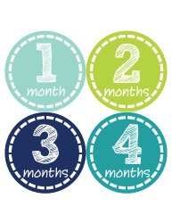Months in Motion 113 Monthly Baby Stickers Baby Boy 12 Months Milestone Sticker