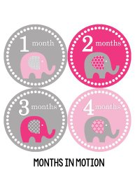 Months in Motion 246 Monthly Baby Stickers Baby Girl Elephants Months 1-12 Milestone Sticker in pink