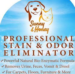 Enzyme Cleaner, Pet Stain Remover, Odor Eliminator, Best Carpet Stain Remover, Pet Odor Eliminator