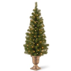 National Tree (MC7-308-40) Montclair Spruce Entrance Tree in 10-Inch Black/Gold Plastic Pot with 50 Clear UL-Lights, 4-Feet