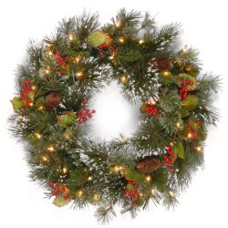 National Tree Wintry Pine Wreath with Cones, Red Berries, Snowflakes with 50 Battery Operated soft White LED Lights, 24-Inches