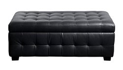 Diamond Sofa Zen Leather Lift Top Tufted Storage Trunk Bench in Black