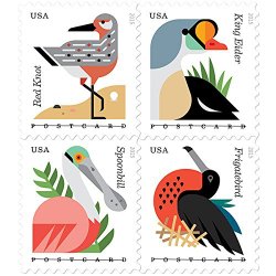 Coastal Birds Stamps Booklet of 20 X POSTCARD Forever U.S. Postage Stamps USPS NEW