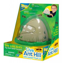 Insect Lore Ant Hill