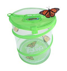 Nature Bound Live Bug and Butterfly Village Habitat Toy