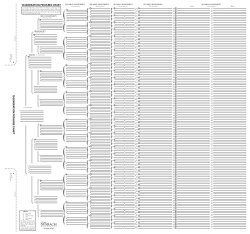 TreeSeek 15 Generation Pedigree Chart Blank Genealogy Forms