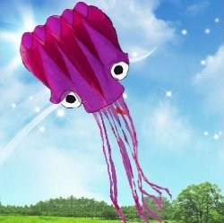 5M Large Octopus Parafoil Kite with Handle & String