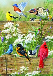 Buffalo Games Large Piece Family: Songbird Menagerie – 300 Piece Jigsaw Puzzle by Buffalo Games