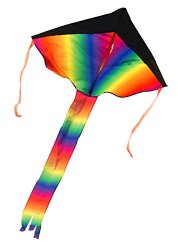 Rainbow Delta Kite, 43-inch – Easy to Assemble, Launch and Fly (200′ of Line)