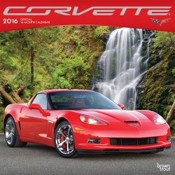 Corvette 2016 Square 12×12 (ST-Silver Foil)