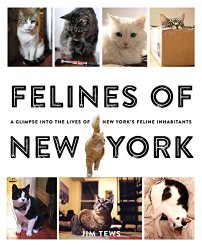 Felines of New York: A Glimpse Into the Lives of New York’s Feline Inhabitants