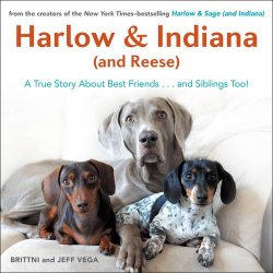 Harlow & Indiana (and Reese): A True Story About Best Friends…and Siblings Too!
