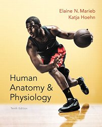 Human Anatomy & Physiology (10th Edition) (Marieb, Human Anatomy & Physiology)
