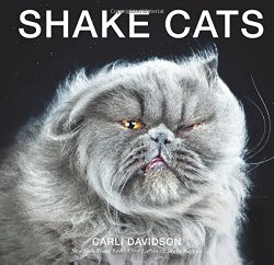 Shake Cats