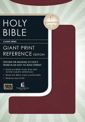 Giant Print Center-Column Reference Bible (KJV, Burgundy Bonded Leather)