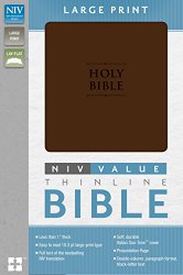 NIV, Premium Value Thinline Bible, Large Print, Imitation Leather, Brown, Lay Flat