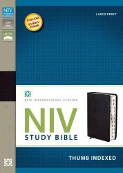 NIV, Study Bible, Large Print, Bonded Leather, Black, Indexed, Lay  Flat