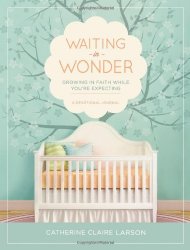 Waiting in Wonder: Growing in Faith While You’re Expecting
