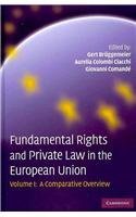 Fundamental Rights and Private Law in the European Union 2 Volume Set