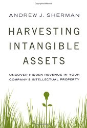 Harvesting Intangible Assets: Uncover Hidden Revenue in Your Company’s Intellectual Property