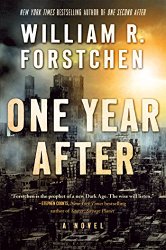 One Year After: A Novel