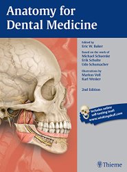 Anatomy for Dental Medicine (Thieme Atlas of Anatomy)