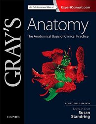 Gray’s Anatomy: The Anatomical Basis of Clinical Practice, 41e