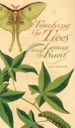 Teaching the Trees: Lessons from the Forest