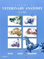 Textbook of Veterinary Anatomy, 4e