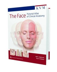 The Face: Pictorial Atlas of Clinical Anatomy