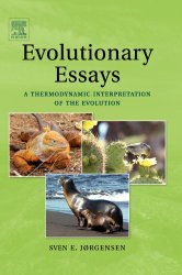 Evolutionary Essays:: A Thermodynamic Interpretation of the Evolution