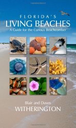 Florida’s Living Beaches: A Guide for the Curious Beachcomber
