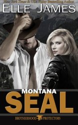 Montana SEAL (Brotherhood Protectors) (Volume 1)