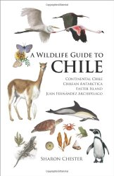 A Wildlife Guide to Chile: Continental Chile, Chilean Antarctica, Easter Island, Juan Fernández Archipelago