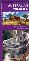 Australian Wildlife: A Folding Pocket Guide to Familiar Species (Pocket Naturalist Guide Series)