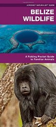 Belize Wildlife: An Introduction to Familiar Species (Pocket Naturalist Guide Series)
