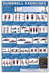Dumbbell Exercises-Shoulders & Arms Laminated (Poster)