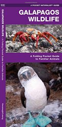 Galapagos Wildlife: A Folding Pocket Guide to Familiar Animals (Pocket Naturalist Guide Series)