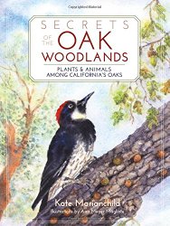 Secrets of the Oak Woodlands: Plants and Animals Among California’s Oaks